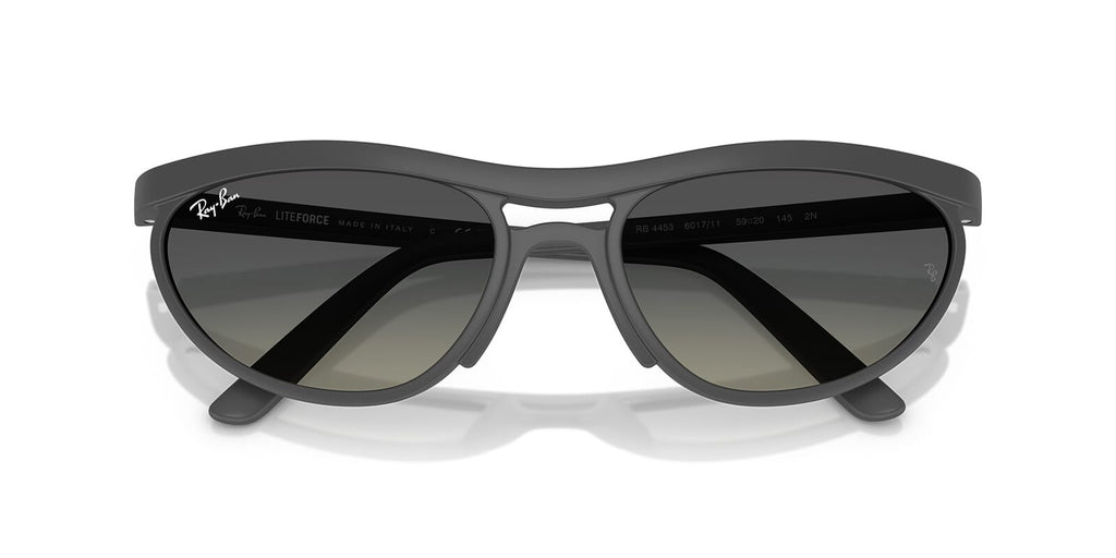 Ray-Ban RB 4453 6017/11