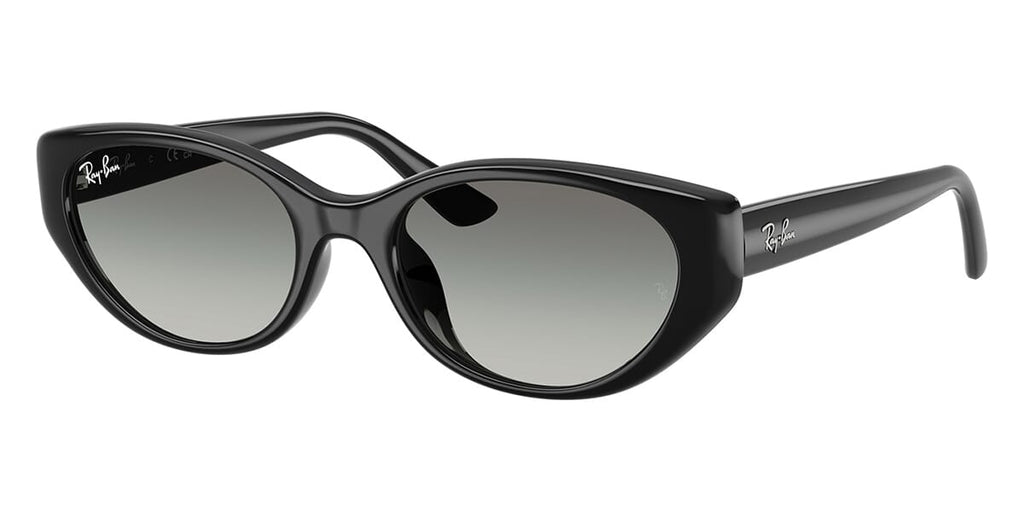 Ray-Ban RB 4457D 6677/11