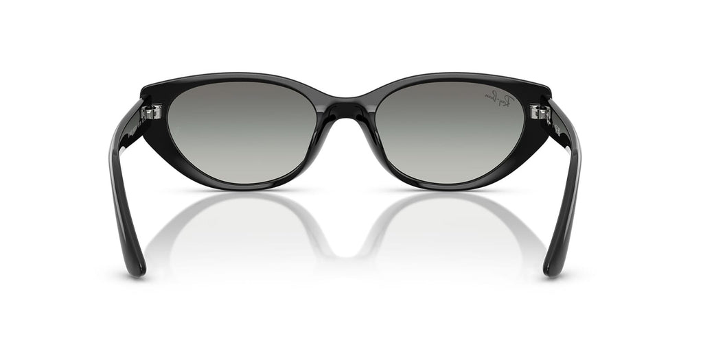 Ray-Ban RB 4457D 6677/11