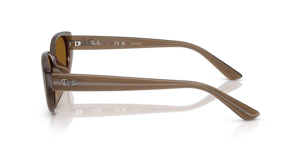 Ray-Ban RB 4457D 6779/83 Polarised