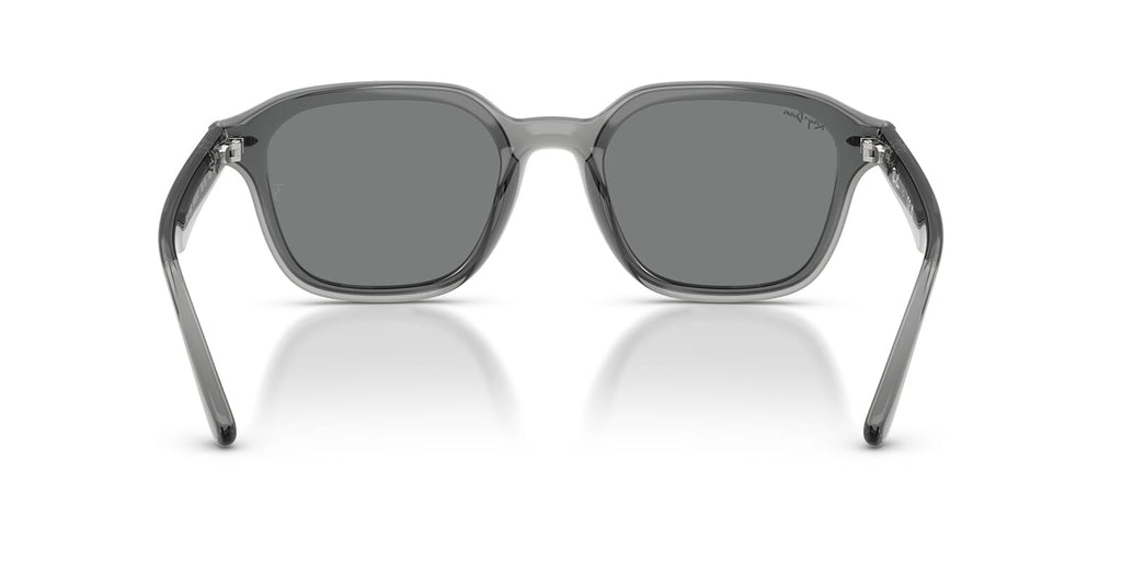 Ray-Ban RB 4458D 6450/87