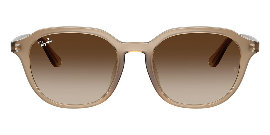 Ray-Ban RB 4459D 6166/13