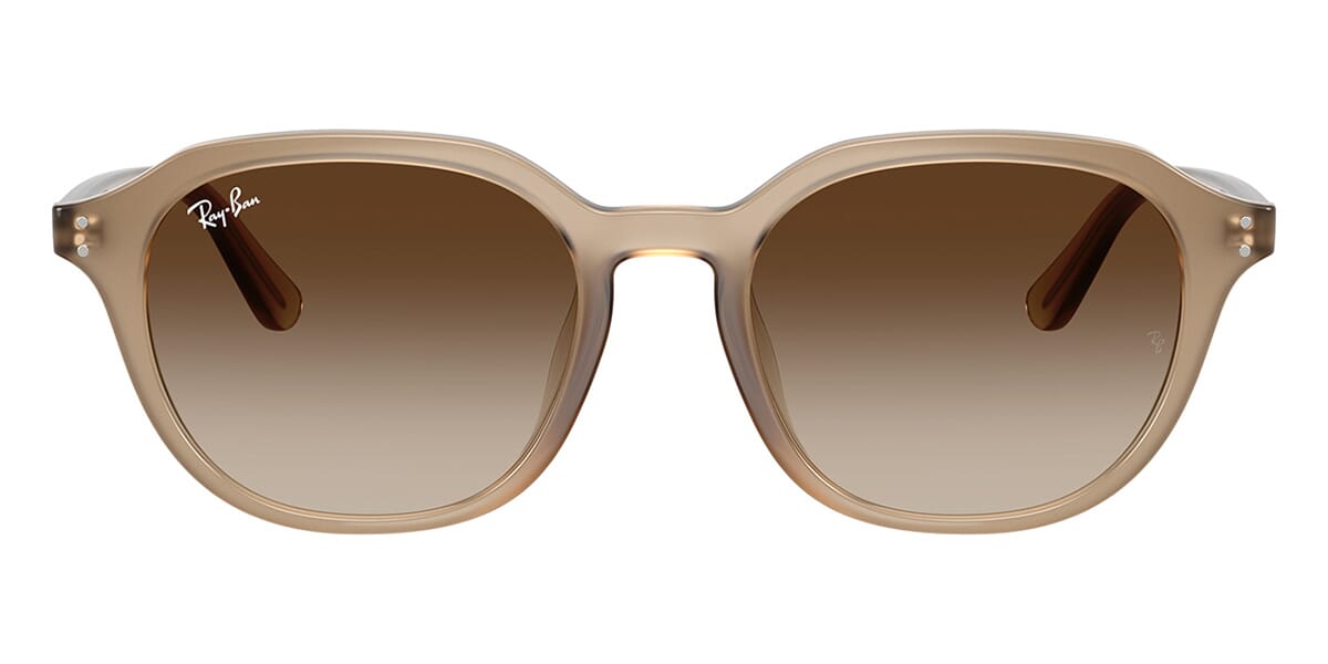 Ray-Ban RB 4459D 6166/13