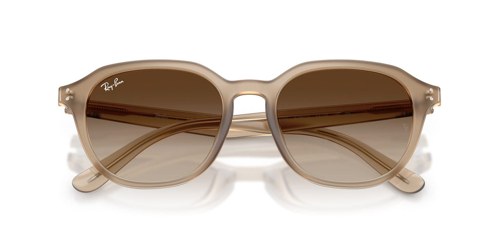 Ray-Ban RB 4459D 6166/13