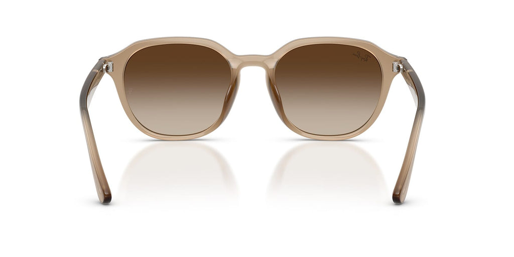 Ray-Ban RB 4459D 6166/13