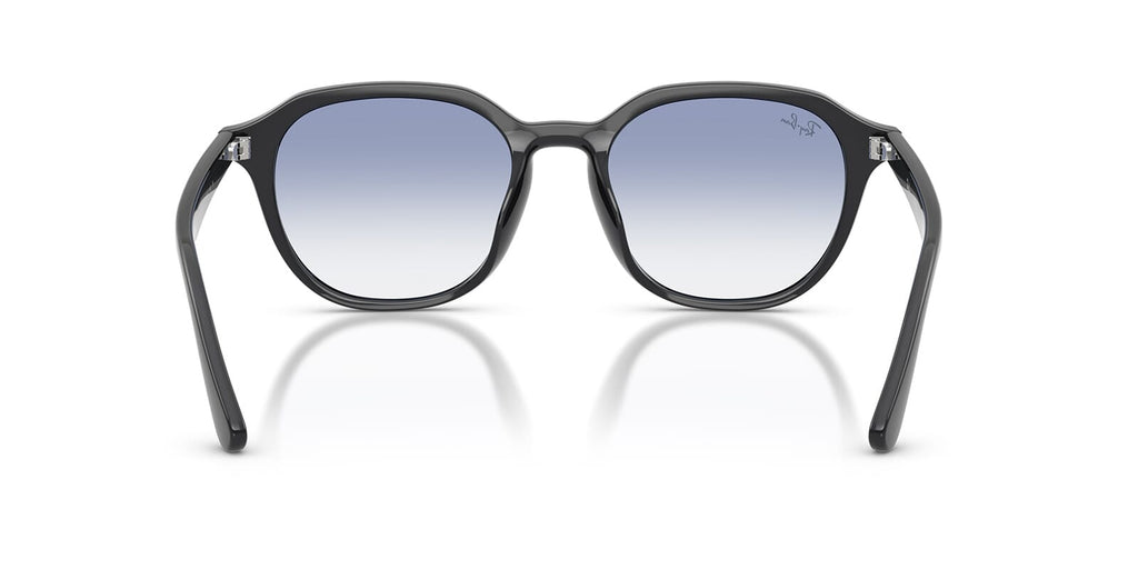 Ray-Ban RB 4459D 6230/19