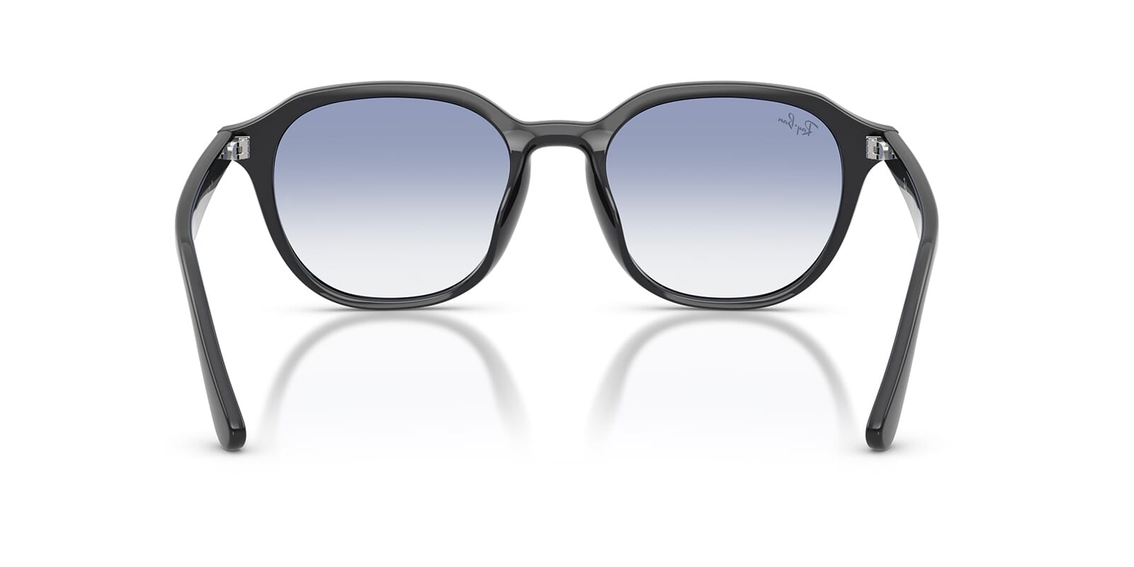 Ray-Ban RB 4459D 6230/19