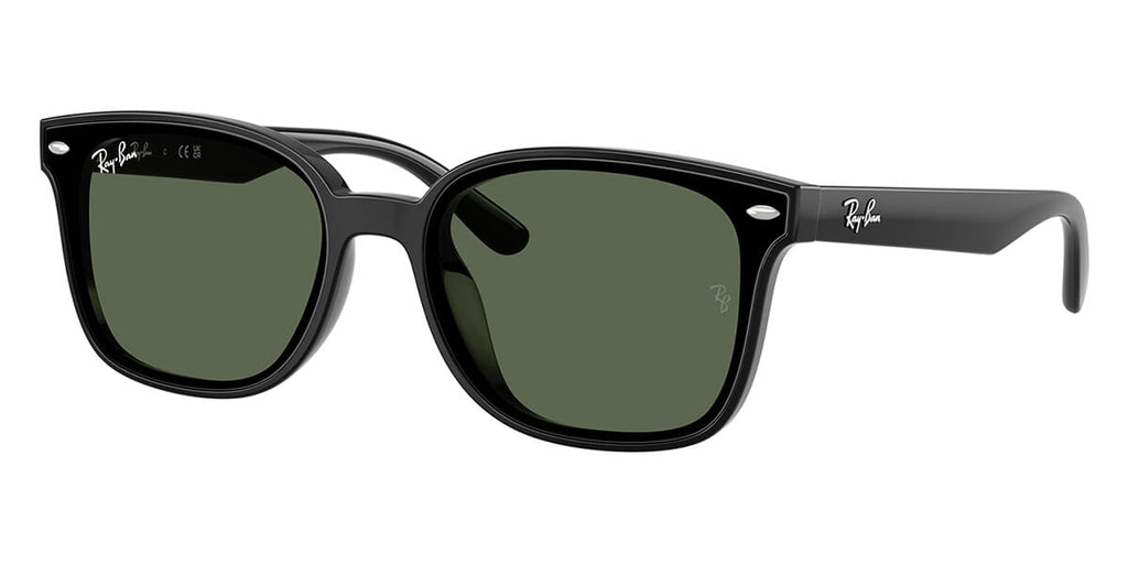 Ray-Ban RB 4461D 601/71