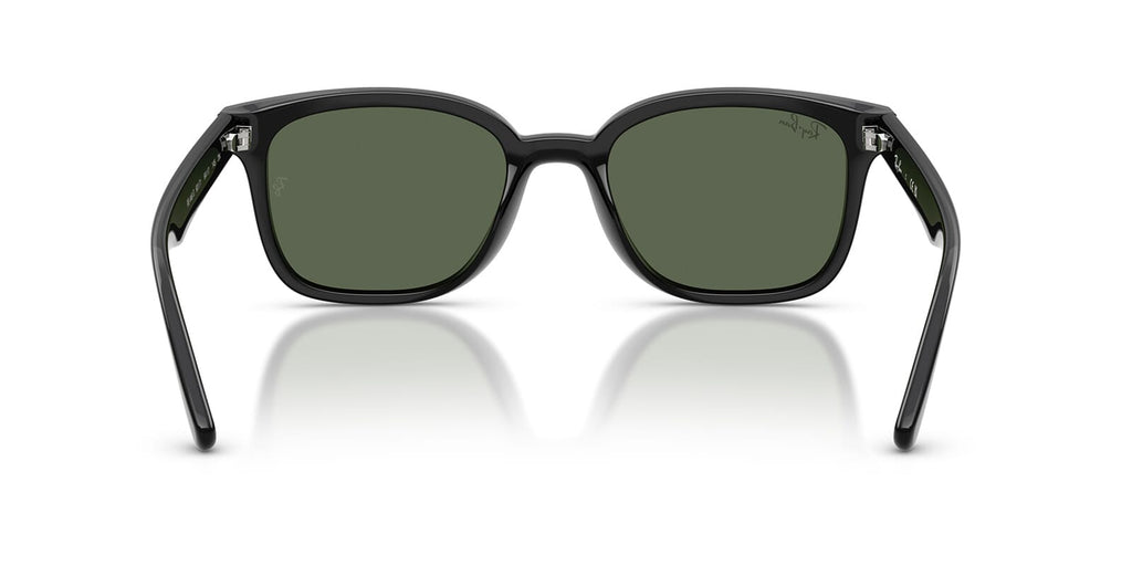 Ray-Ban RB 4461D 601/71
