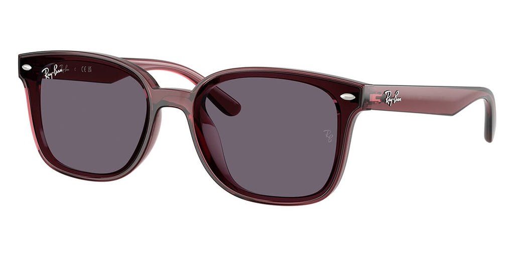 Ray-Ban RB 4461D 6593/73