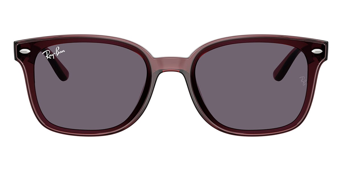 Ray-Ban RB 4461D 6593/73