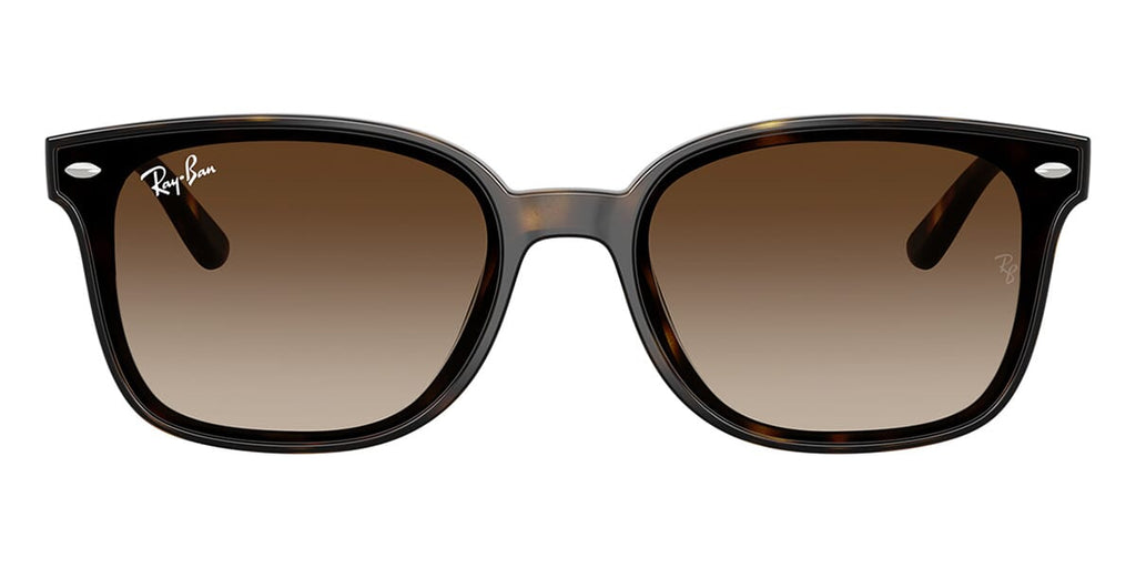 Ray-Ban RB 4461D 710/13