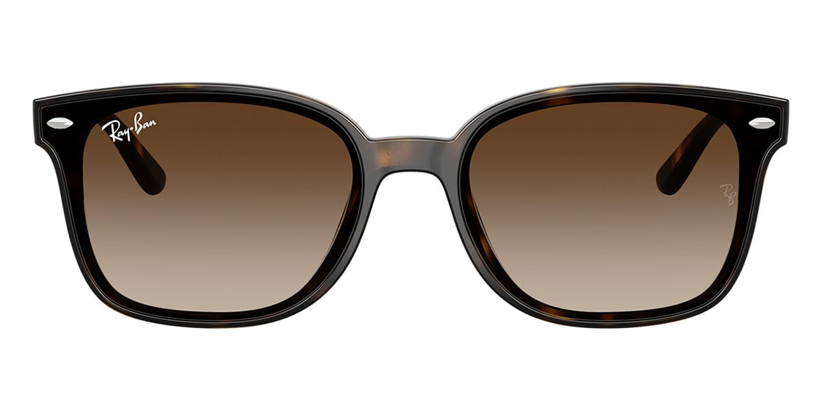 Ray-Ban RB 4461D 710/13