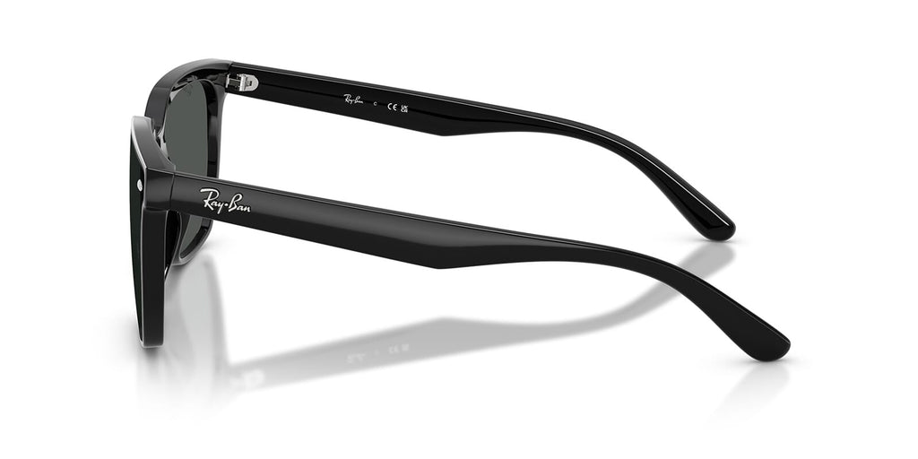 Ray-Ban RB 4466D 601/87