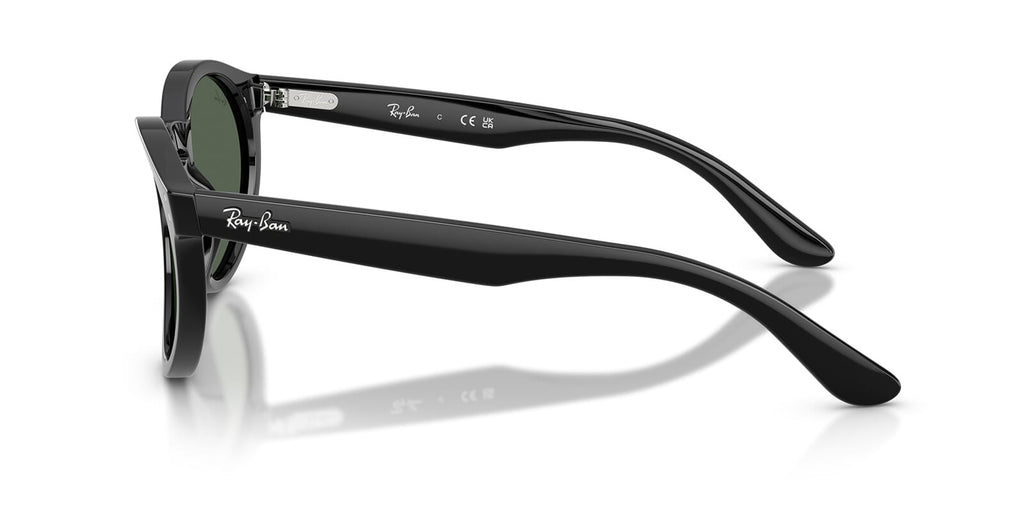 Ray-Ban RB R0505S 667/7VR