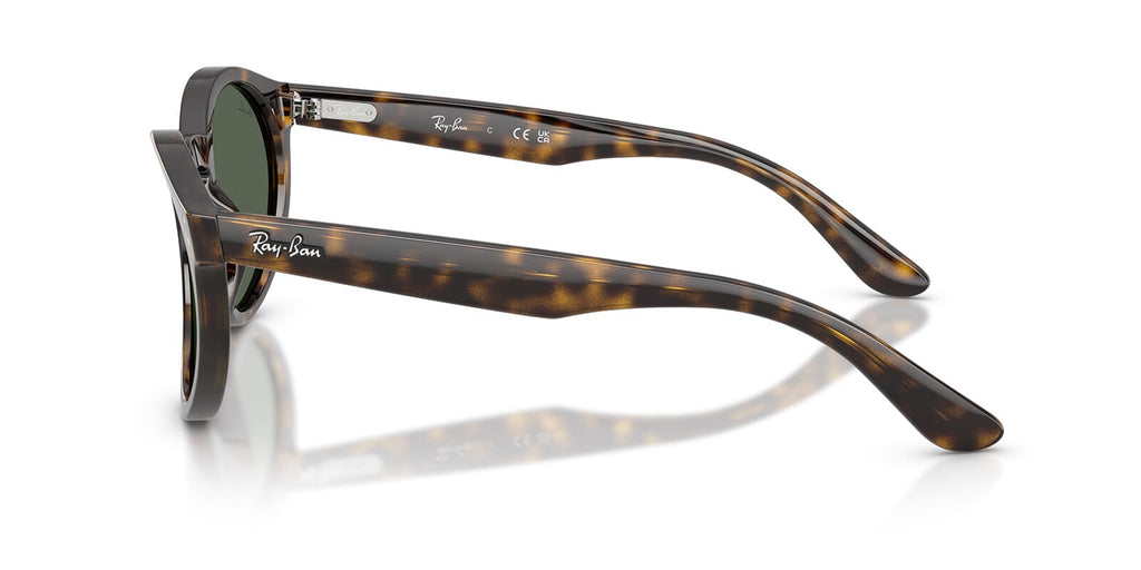 Ray-Ban RB R0505S 6790/VR