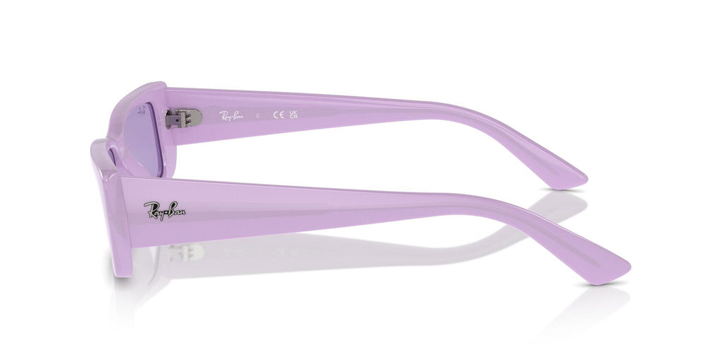 Ray-Ban Teru RB 4425 6758/1A - As Seen On Carly Rae Jepsen