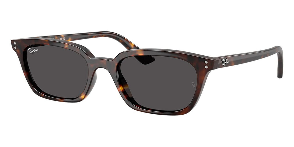 Ray-Ban Zaya RB 4456 1359/87 - As Seen On Aron Piper