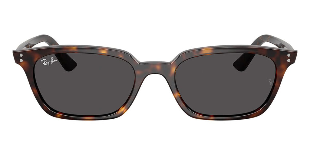Ray-Ban Zaya RB 4456 1359/87 - As Seen On Aron Piper