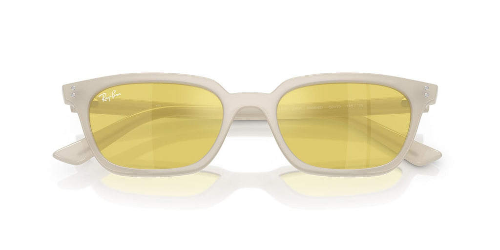 Ray-Ban Zaya RB 4456 6808/6D