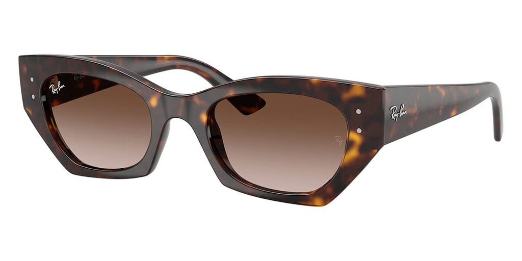 Ray-Ban Zena RB 4430 1359/13